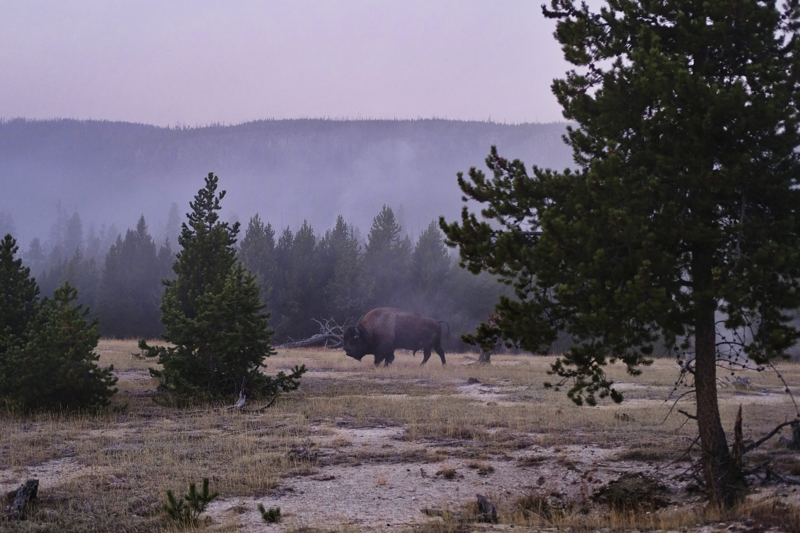 Yellowstone National Park